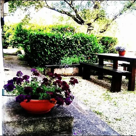 Apartment Kalac